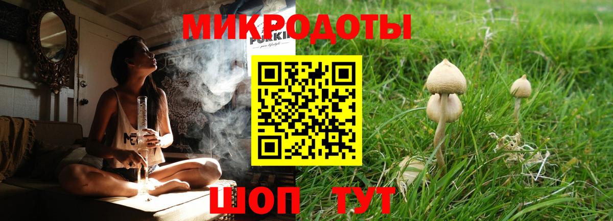 Псилоцибиновые грибы Psilocybine cubensis  Вход с VPN  Галлюциногенные грибы мухоморы  Ижевск 